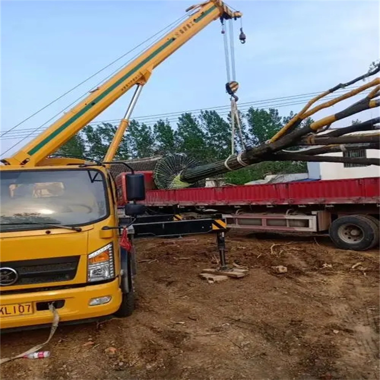 五峰100吨吊车租赁费用怎么算？3大关键因素+省钱技巧全解析